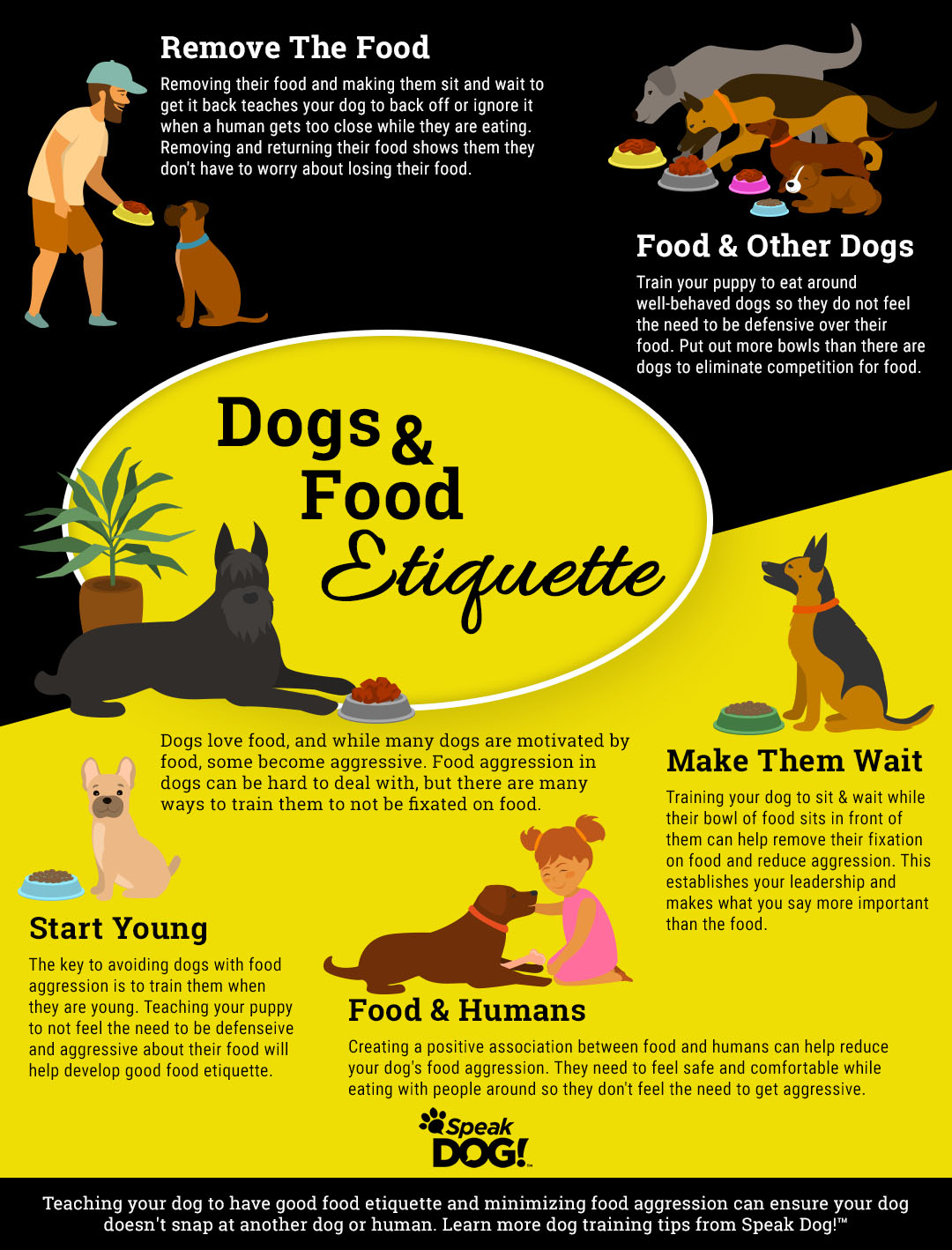 Training Tips for a Wellbehaved Dog How to Teach Your Pup Proper Behavior